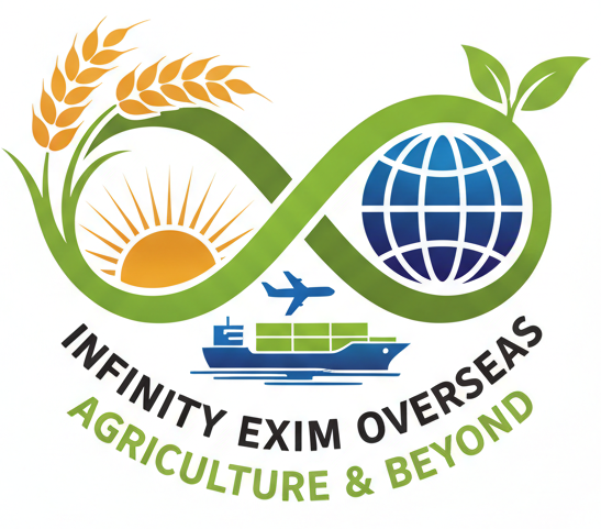 Infinity Exim Overseas Logo